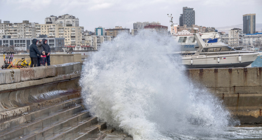 Средиземноморский сюрприз: Кубань накроет аномальное тепло из субтропиков