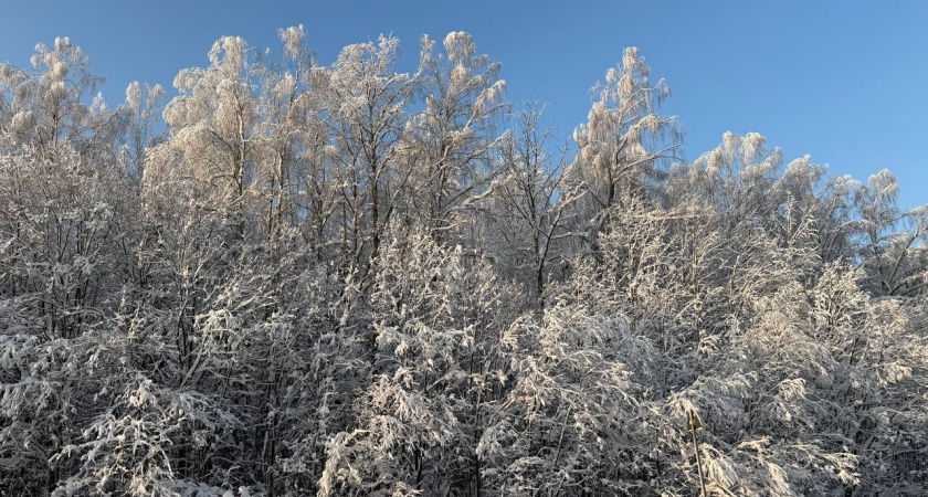 На Кубань надвигаются морозы и штормовой ветер