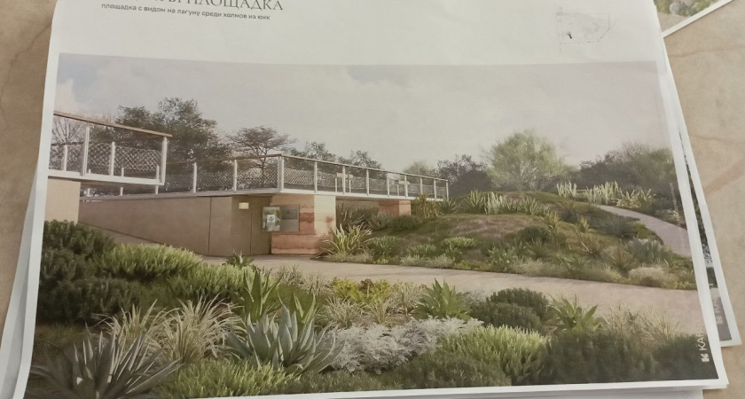  Никаких самокатов, велосипедов и аттракционов: экологи обсудили концепцию благоустройства дендропарка в Новороссийске  