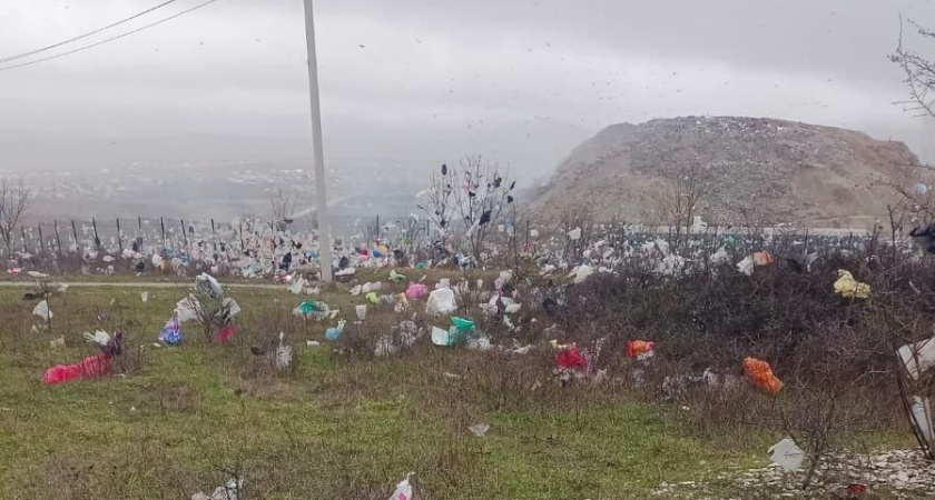 «Просто катастрофа!»: мусор с полигона на горе Щелба в Новороссийске разлетается по лесу и частным дворам 