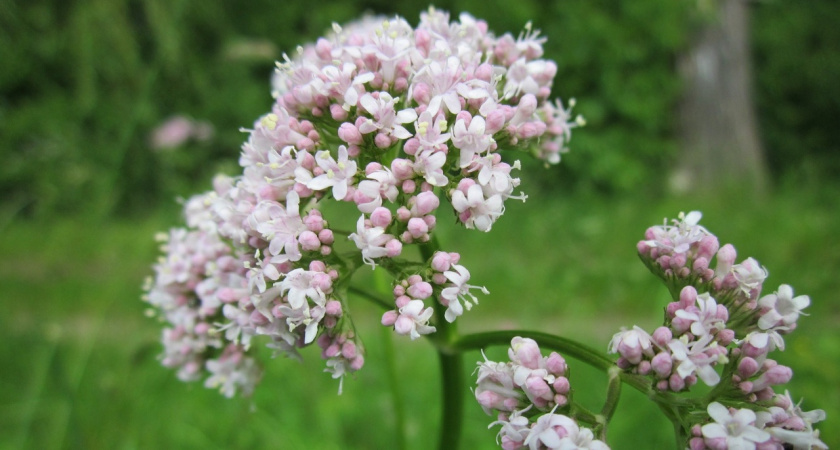 Морозный февраль, сумасшедший март и май без курток: синоптики расписали 2026-й по месяцам