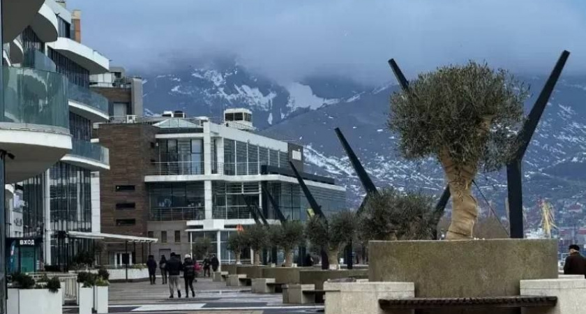 Красота требует жертв: почти 600 тысяч рулей потратят власти Новороссийска на уход за зелеными насаждениями на набережной