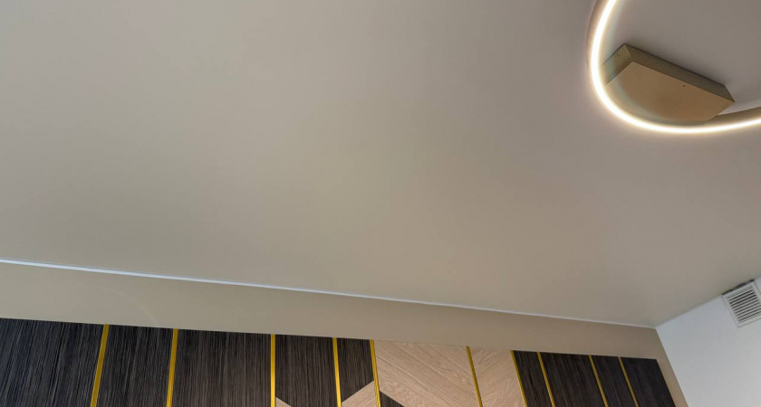 Натяжные потолки прошлый век: эксперты рассказали о современных заменах для модного ремонта