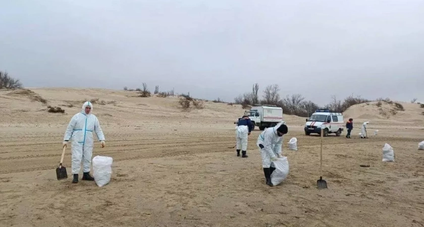Шторм поднял со дна старый мазут: на пляжах Анапы и под Темрюком началась зачистка