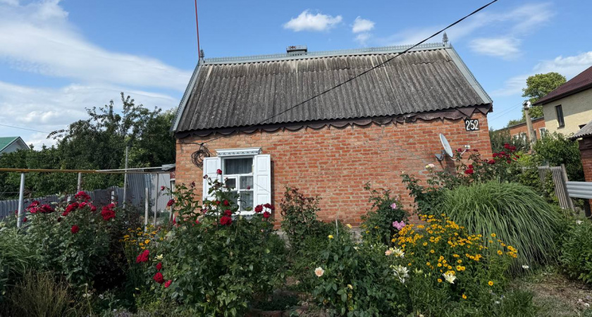 Мечта о деревенском рае разбилась вдребезги: честный рассказ переехавших