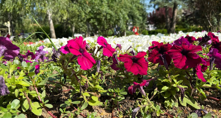 Всего два дня в марте решат судьбу лета: срочно посмотрите на погоду 3-4 числа