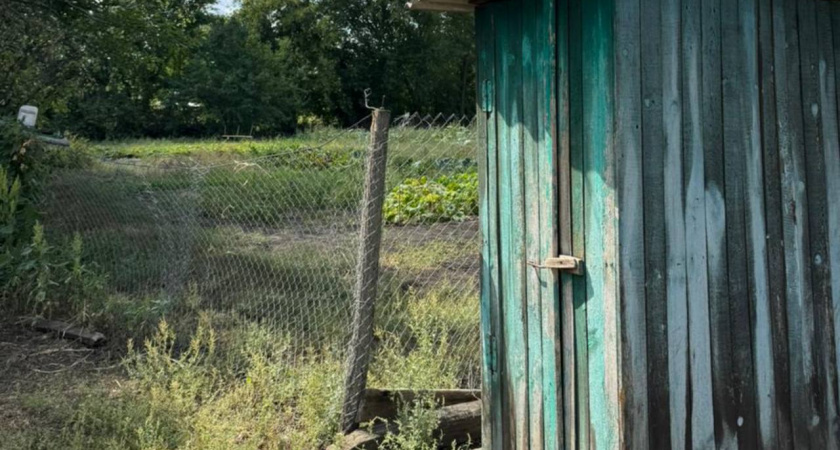 Всего 0,5 пачки на ведро: дачный туалет не воняет весь сезон - никакой химии