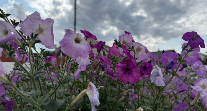 Весна-2026 будет безумной: прогноз погоды пугает даже синоптиков