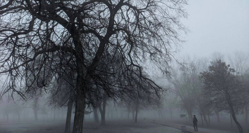 Кубань накроет туманом и мокрым снегом: прогноз погоды на 7 марта