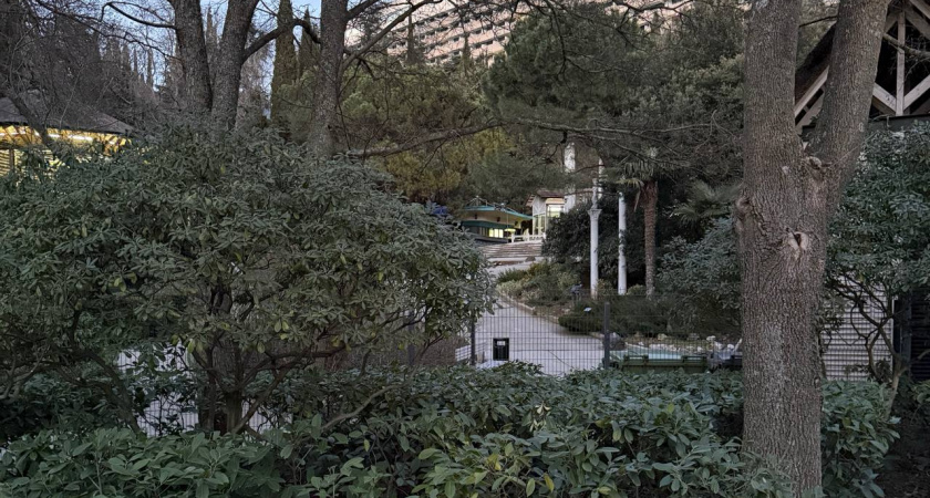 От -14°С в горах до +11°С у моря: погодные качели ожидают Кубань 8 марта