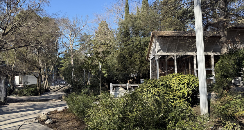 На Кубани ожидаются температурные качели: от ночных морозов до весеннего плюса 9 и 10 марта