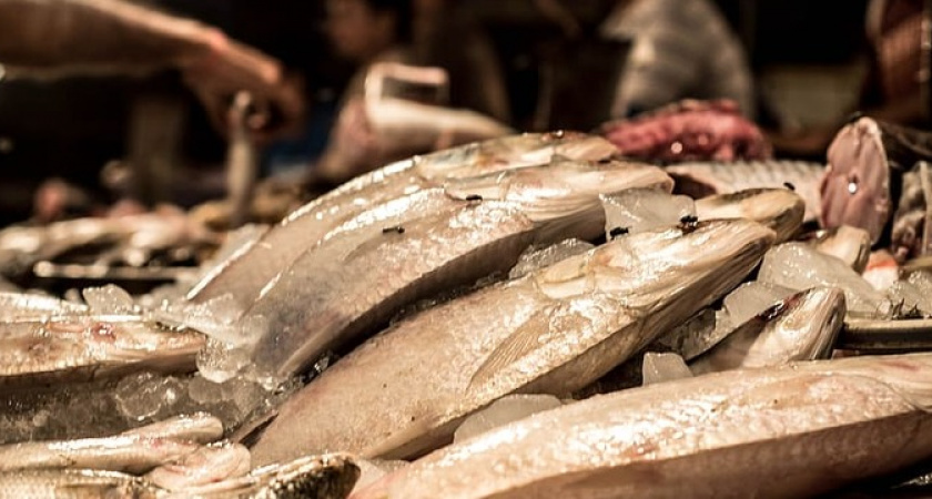 Эту рыбу вообще нельзя есть, а мы покупаем и на стол подаем: самая опасная рыба