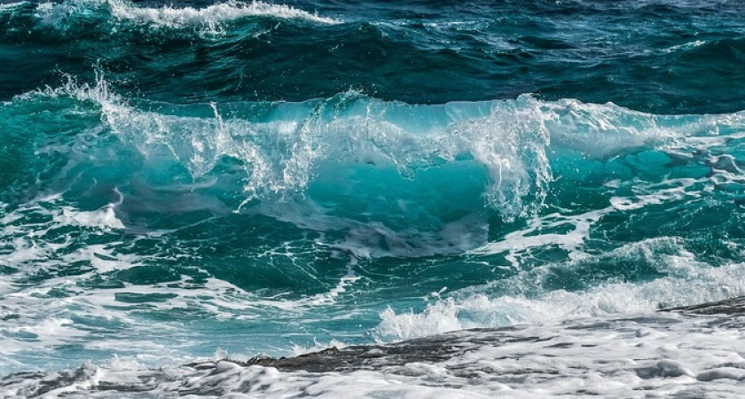 Купаться невозможно, сидим у берега: черноморский пляж преподнес неприятный сюрприз отдыхающим