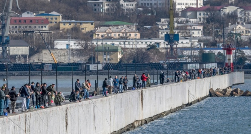 На молу яблоку негде упасть! В Новороссийске начался лов селедки