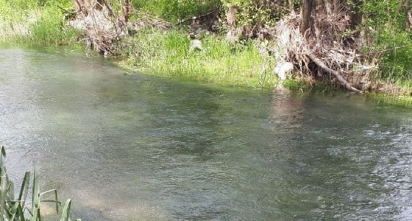 Новороссийцев зовут на бесплатную экскурсию по Цемесской роще