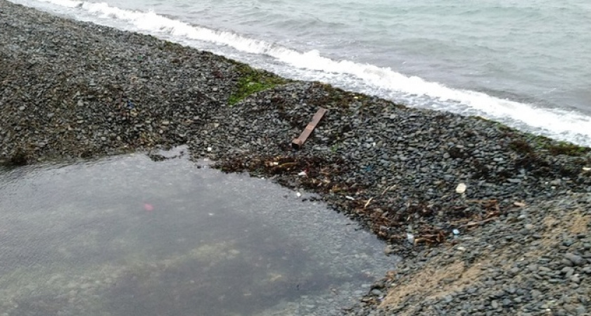 "Они просто задыхаются и погибают на берегу!": прокуратура обязала Минприроды расчистить путь для мальков в Суджукскую лагуну Новороссийска в течение месяца