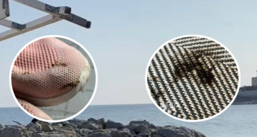 «Это катастрофа»: берег  пляжа в Новороссийске покрылся мазутом 