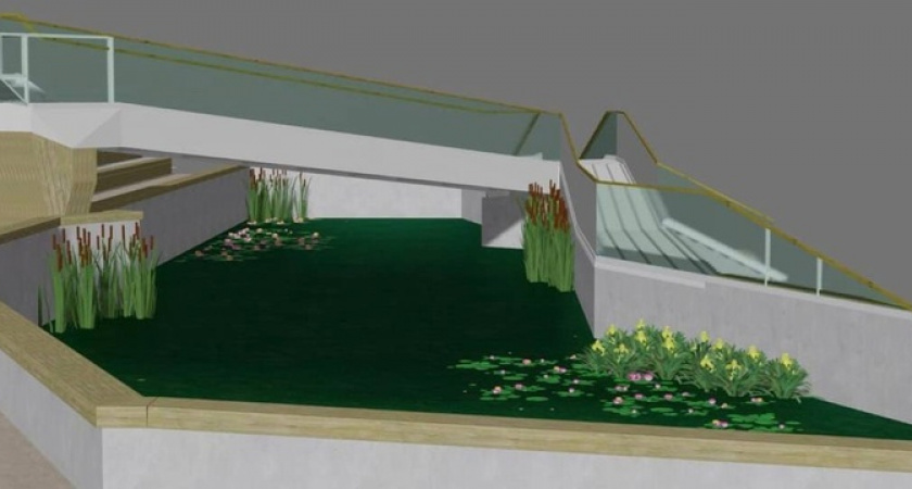 В пруд в парке Фрунзе Новороссийска высадят болотные ирисы и плавающие гиацинты