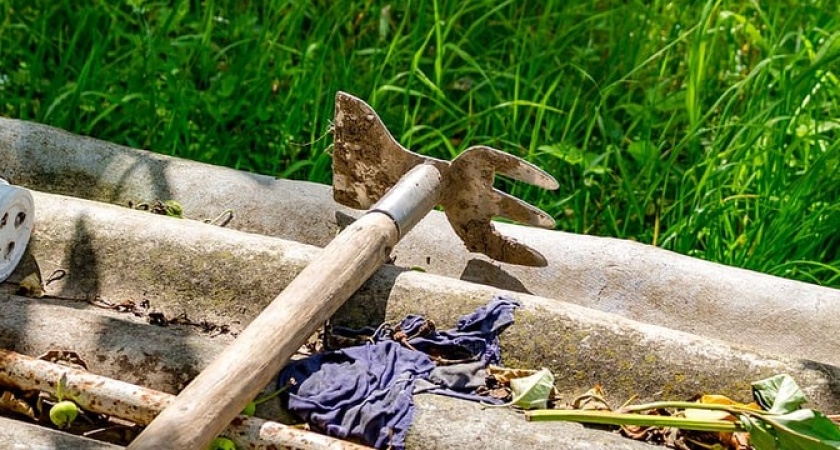 Вредная ягода. А мы едим ее как деликатес, еще и детей заставляем