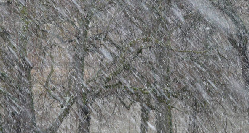 «Готовьтесь к кошмару с 6 апреля». Синоптики сказали, что начнется в выходные