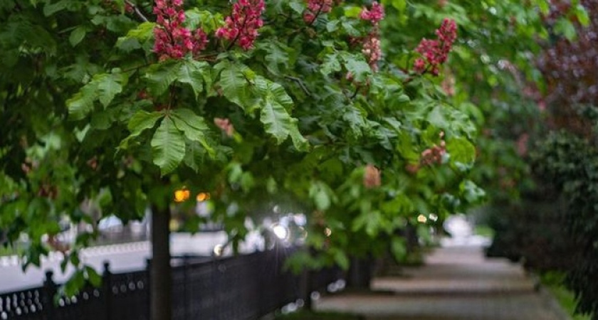 Плюс 33 градуса! Турецкий ветер принес аномальную жару в Краснодарский край