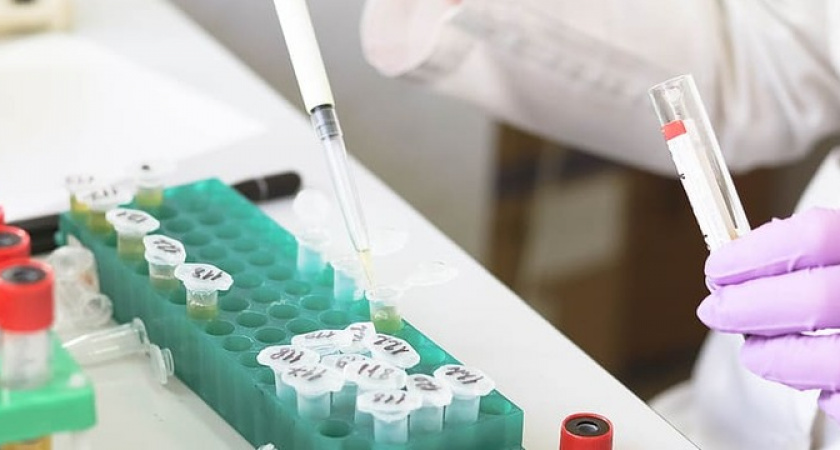 Ученые назвали, люди с какой группой крови чаще других становятся миллионерами