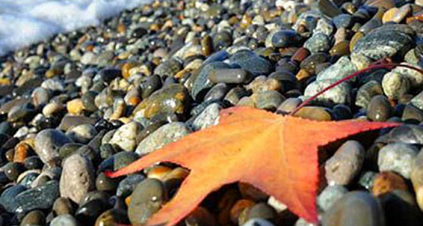 Вмешался теплый циклон. На черноморском побережье потеплеет до +21 градуса