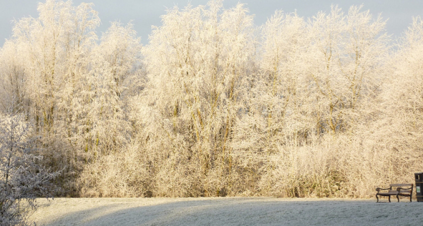 «Поступили новые данные». Синоптики изменили прогноз на февраль