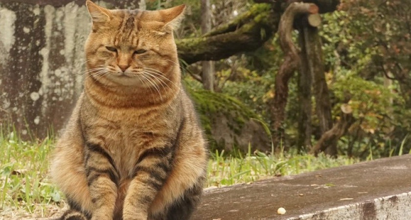 Россияне огорошены: 12 июня сделали рабочим днем