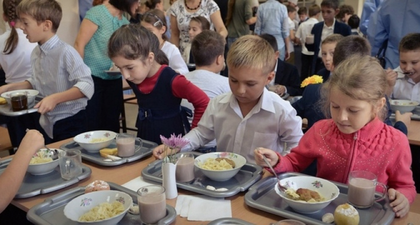 Благодаря новому приложению «Аксиома» новороссийцы смогут следить за питанием своих детей в школах