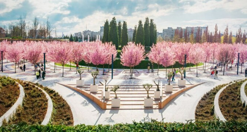 В списке даже Краснодар: названы топ-10 лучших мест для весенних фотосессий