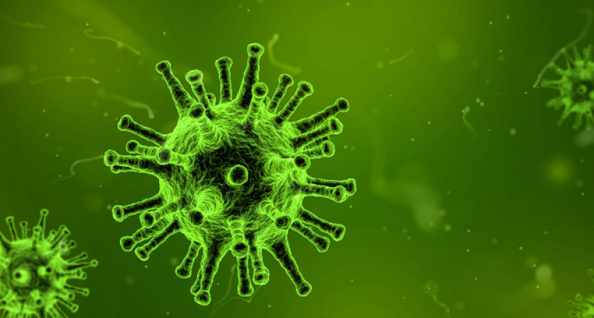 Российские туристы вернулись из Китая с новой заразой