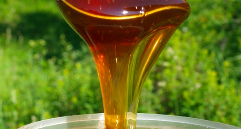 Когда пора выбрасывать мед — 3 признака сильно испортившегося продукта