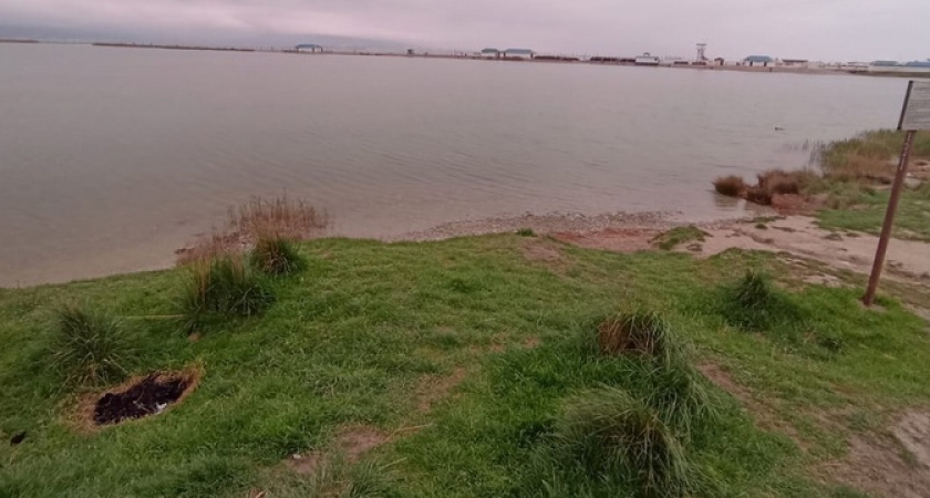 Хотите повторения пожара?!: неизвестные продолжают жечь костры в Прилагунье Новороссийска