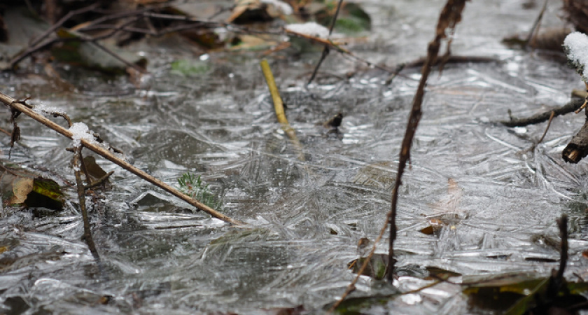 «Март еще всем покажет». Неожиданный прогноз от синоптиков на первый месяц весны