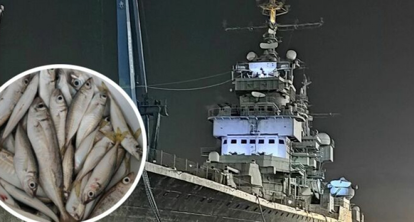 Новороссиец наловил рыбы в канализационном сливе рядом с крейсером "Михаил Кутузов" - горожане добычу забраковали