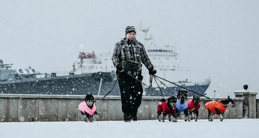 Быть снегу или не быть? Какую погоду ожидать новороссийцам на Новый год