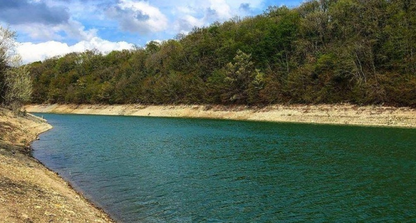 Под Новороссийском лес в районе Глебовского водохранилища и часть дамбы перешли в частные руки