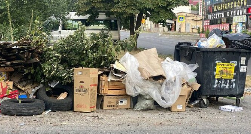 Груда мусора и вонь на всю улицу: в Приморском районе Новороссийска посреди дороги образовалась стихийная свалка