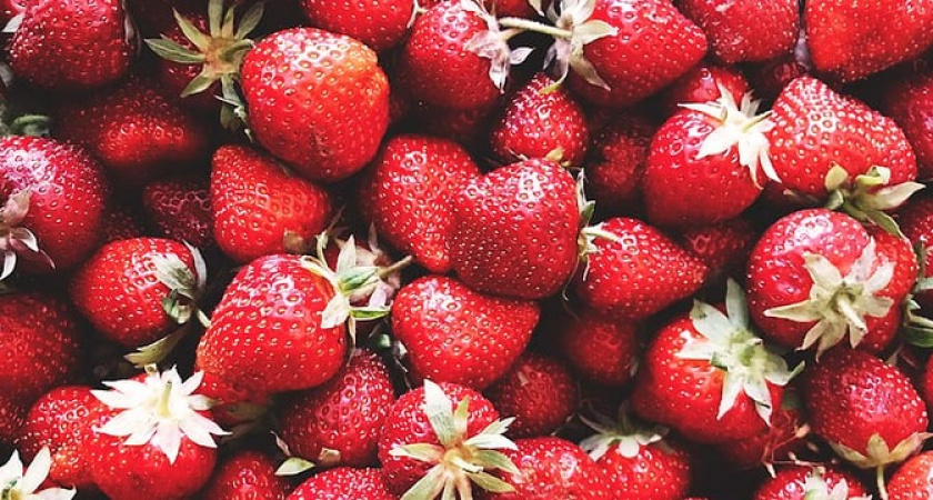 Огромную и сочную клубнику устанете собирать. Простейшая подкормка, а результат поразительный