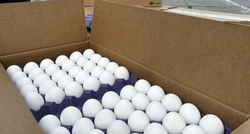 Завезенные в Новороссийск «яйца Эрдогана» так и не попали на прилавки магазинов