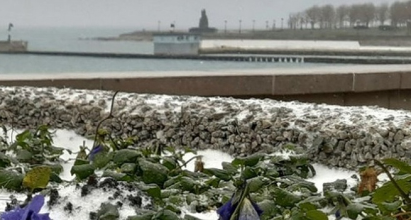 Припорошенная трава, много ДТП и спецтехника на дорогах: как Новороссийск пережил первые морозы 2024 года