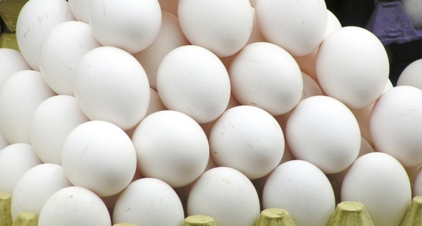 Яйца из Турции не доехали до прилавков магазинов: стало известно для чего они ввезены в Россию