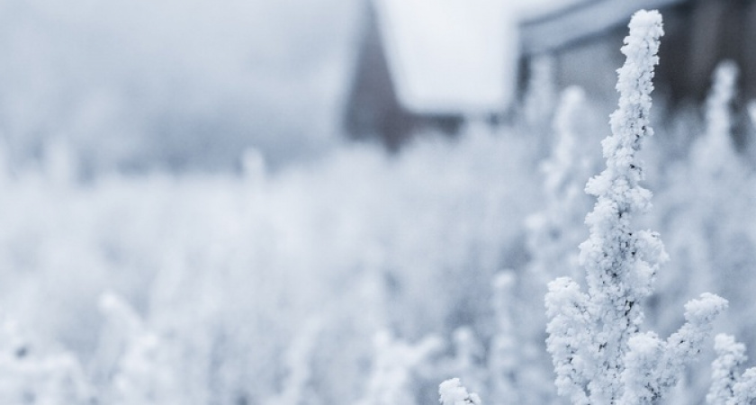 Лютая зима: в Краснодарском крае рухнут температуры