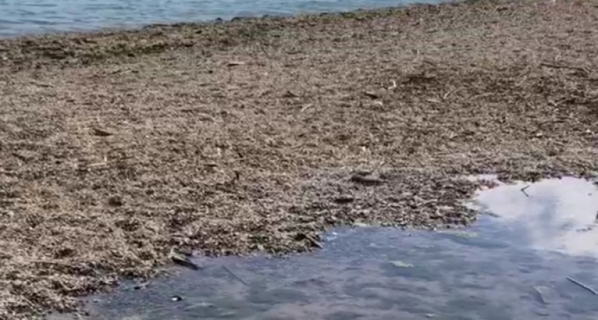 Посреди пляжа в селе Мысхако под Новороссийском протекает речка-вонючка