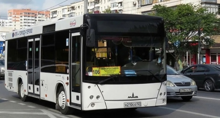 Когда исчезнут двойные остановки и где появятся выделенные полосы: урбанисты рассказали о перспективах развития общественного транспорта в Новороссийске