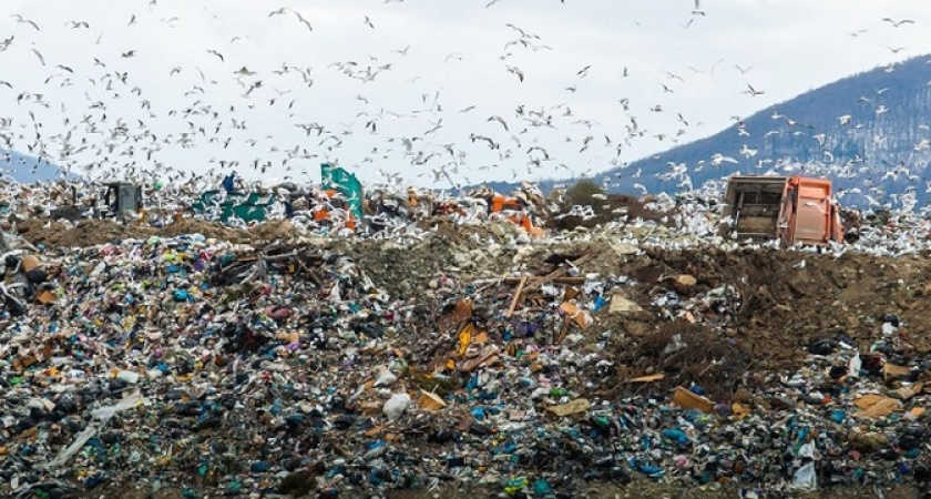 Новороссийскую компанию «Терра-Н» оштрафовали за работу без лицензии