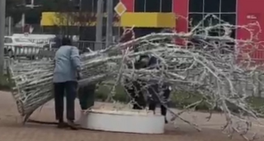 В Новороссийске демонтируют светящиеся деревья стоимостью более 3 миллионов рублей, установленные полтора года назад