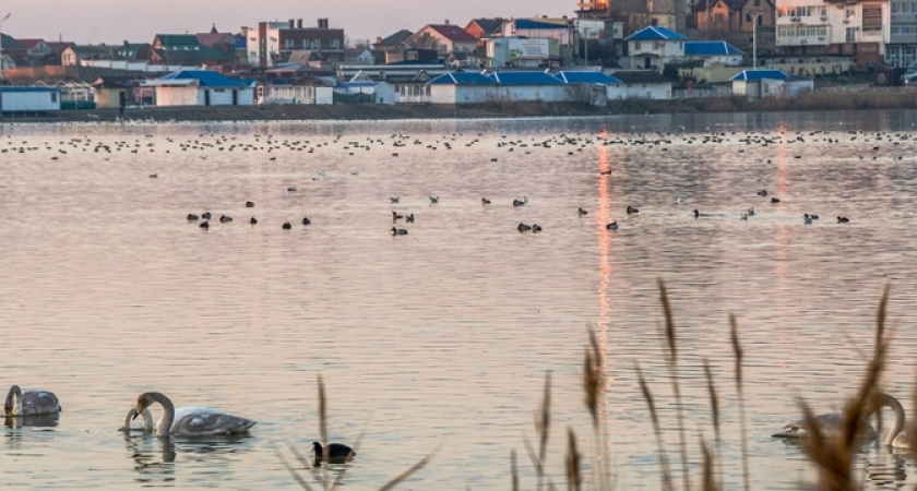 Новороссийские активисты направили обращения в Госдуму и Генпрокуратуру с просьбой обратить внимание на проблему Суджукской лагуны
