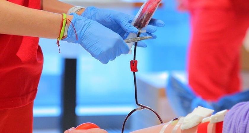 "Ситуация критична": станция переливания крови Новороссийска нуждается в донорах